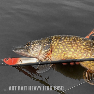 Catch Predators, mit der art bait Heavy Jerk 195C.