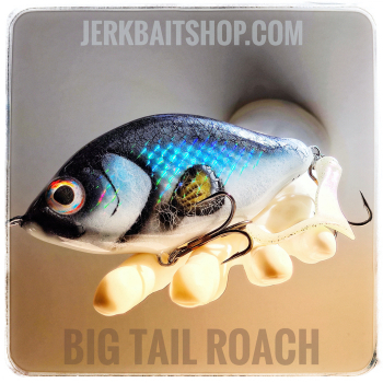 XL Custom Jerkbait Big Tail Roach Color 02