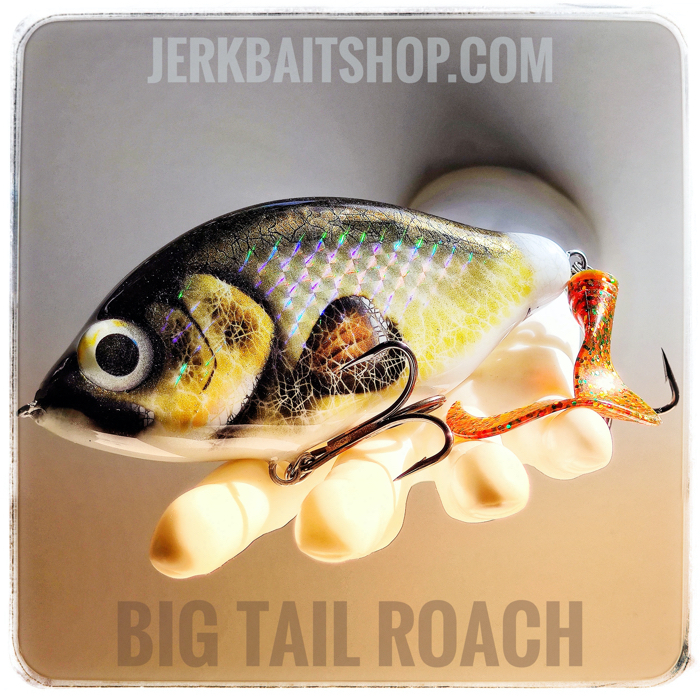 XL Custom Jerkbait Big Tail Roach Color 01