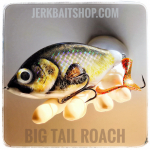 Jerkbait Big Tail Roach CL01
