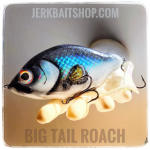 Jerkbait Big Tail Roach CL02