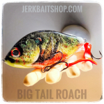 Jerkbait Big Tail Roach CL03